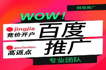 搜索引擎竞价推广实战：行业领先企业的成功秘诀